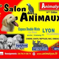 Animalyus