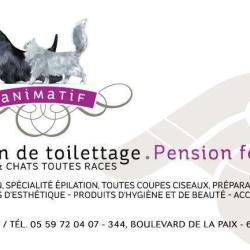 Animatif