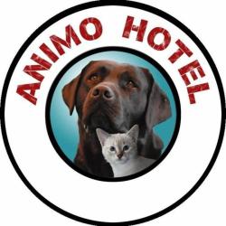Animo Hôtel