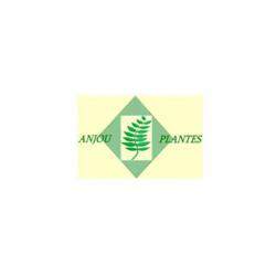 Anjou Plantes Sca