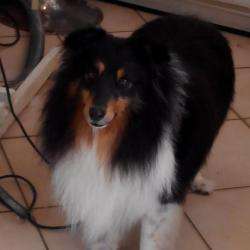 Annabell Toilettage Annabell Balue
