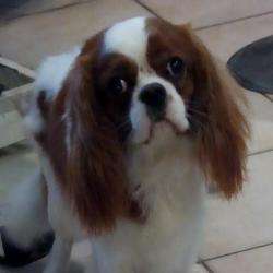 Annabell Toilettage Annabell Balue