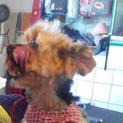 Annabell Toilettage Annabell Balue