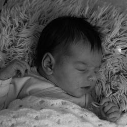 Anne Jegu Photographie