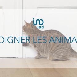 Anne Sophie Goullier - Immobilier - Iad France - Andrésy