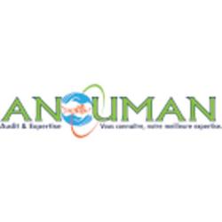 Anouman Audit Et Expertise