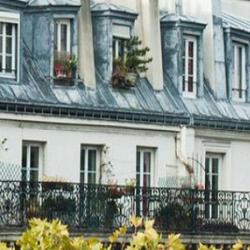 Anp Immobilier
