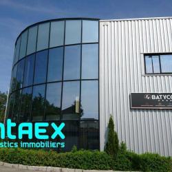 Antaex