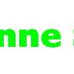 Antenne Sat Vision
