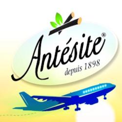 Antésite