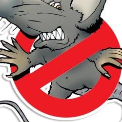 Antinuisible Bourmaud - Rat Frelons Cafard Blattes Désinsectisation - Nantes