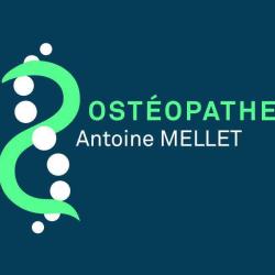 Antoine Mellet