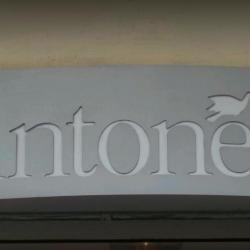 Antonelle