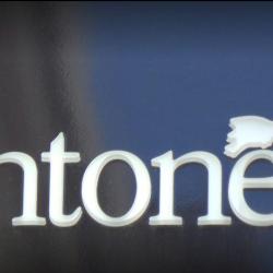 Antonelle