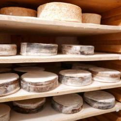 Antony éleveur De Fromages