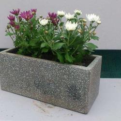 Antre Pots
