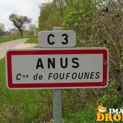 Anus