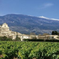 Cave Les Vignerons Du Mt Ventoux