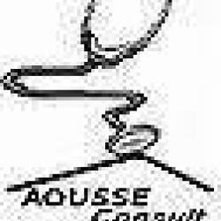 Aousse Consult (diagnostics)