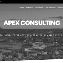 Apex Consulting