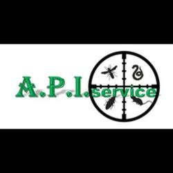 Api Service