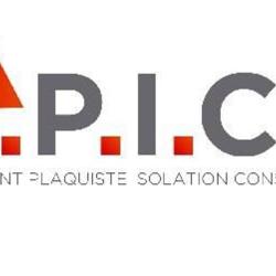 A.p.i.c