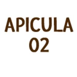 Apicula 02