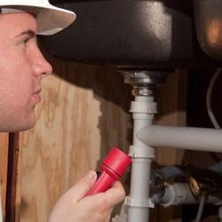 A.p.p.a Assistance Et Protection En Prestations Antiparasitaires