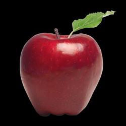 Apple Pie