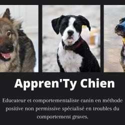 Appren'ty Chien