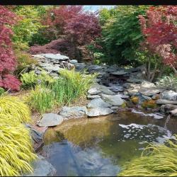 Aquachris
