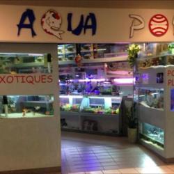 Aquapoint