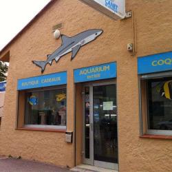 Aquarium De Canet
