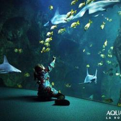 Aquarium La Rochelle