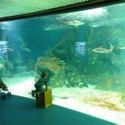 Aquarium Public De Guadeloupe