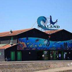 Aquarium Sealand