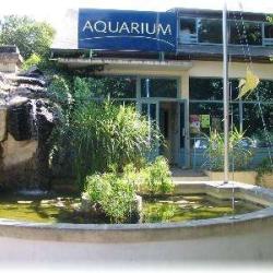 Aquarium De Loudun