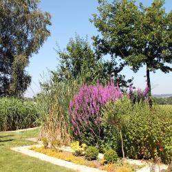 Aquatiris Sud Et Est Isère