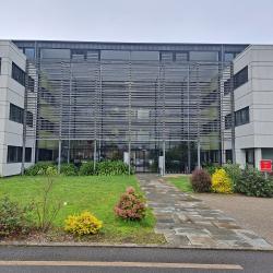 Aquila Rh Quimper