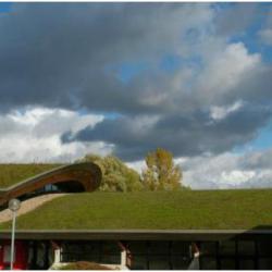 Arpaysage