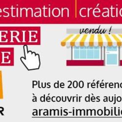 Aramis Agence Immobilière