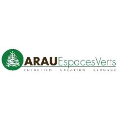 Araucaria