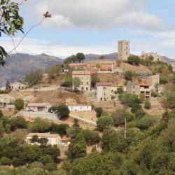 Arbellara