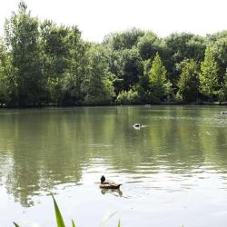 Arboretum Jardin De Gaston