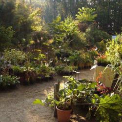 Arboretum National Des Barres