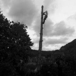 Arbovoltige - élagage Et Abattages Délicats, Taille Et Soins Aux Arbres Dans Le Limousin