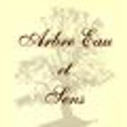 Arbre Eau Et Sens