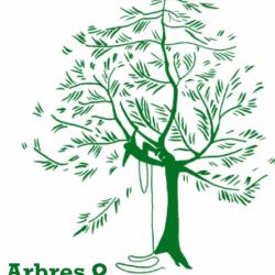 Arbres And Des Tailles