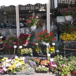 Arc En Fleurs