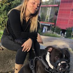 Arcanine Educateur Canin Strasbourg